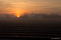 Januari, zonsopkomst en zonsondergang Budel-Schoot